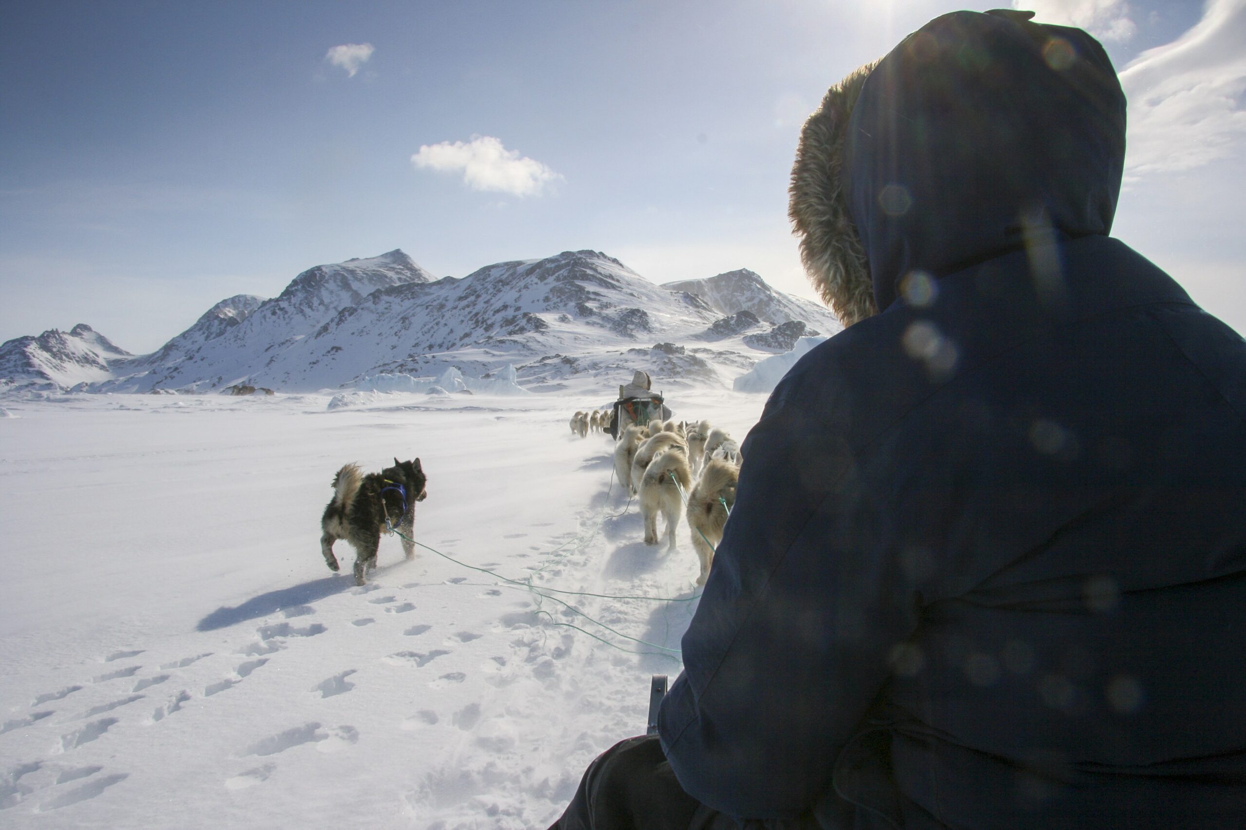 Dogsledding in East Greenland with Arctic Dream. Photo by Lars Anker Møller - Visit East Greenland