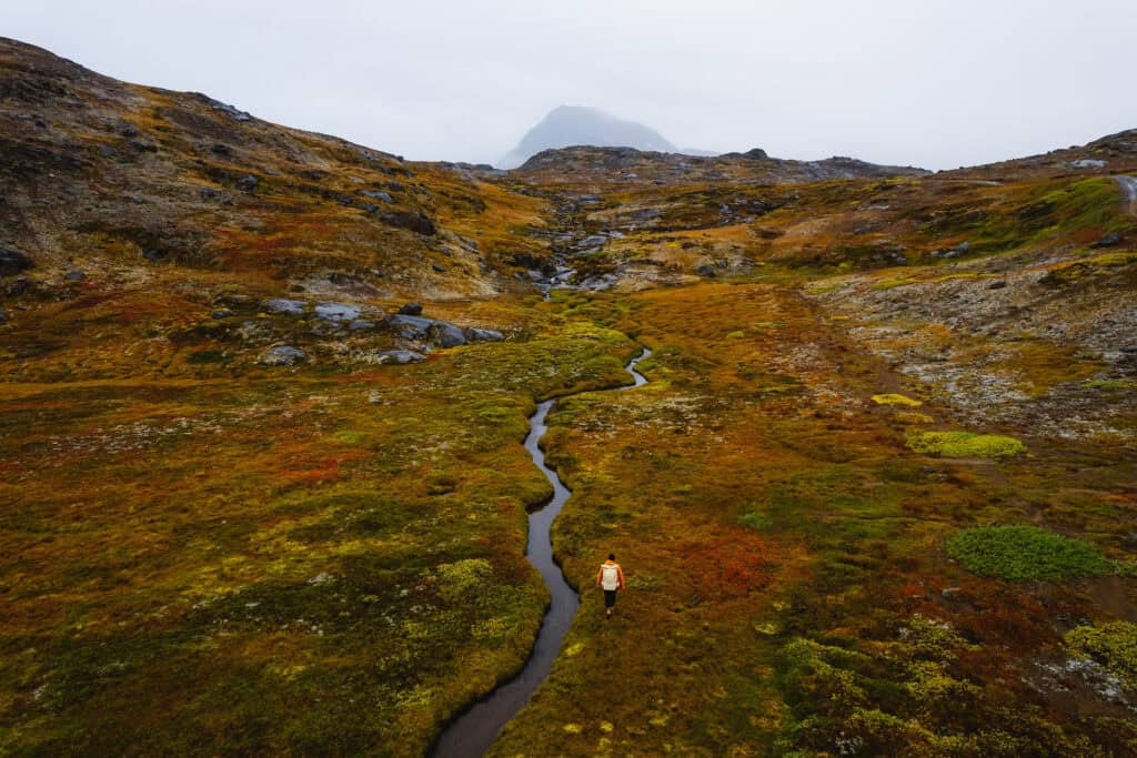 Tasiilaq’s “Flower Valley” in full autumn bloom. Photo by Philipp Mitterlehner - Visit Greenland