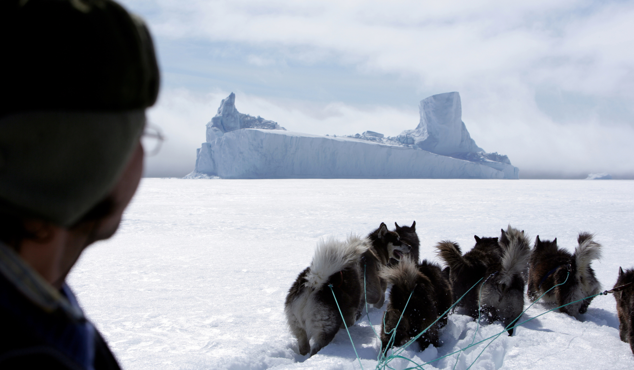 Musher and Dogs heading towards large iceberg near Ittoqqortoormiit. Photo by Jørgen Chemnitz - Visit Greenland