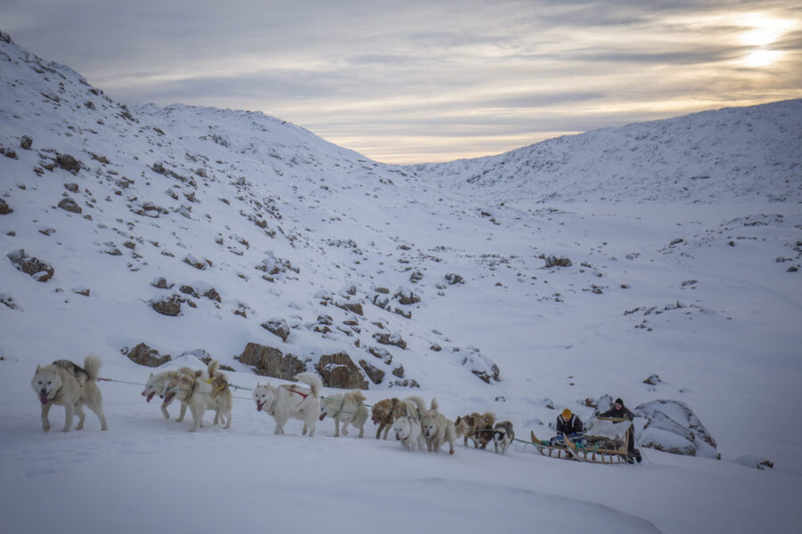 On tour with the dogs. Photo by Tasiilaq Tours