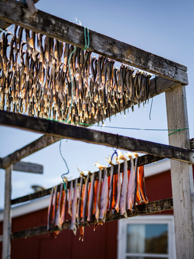Fish drying outside residential house in East Greenland. Photo by Aningaaq Rosing Carlsen - Visit Greenland