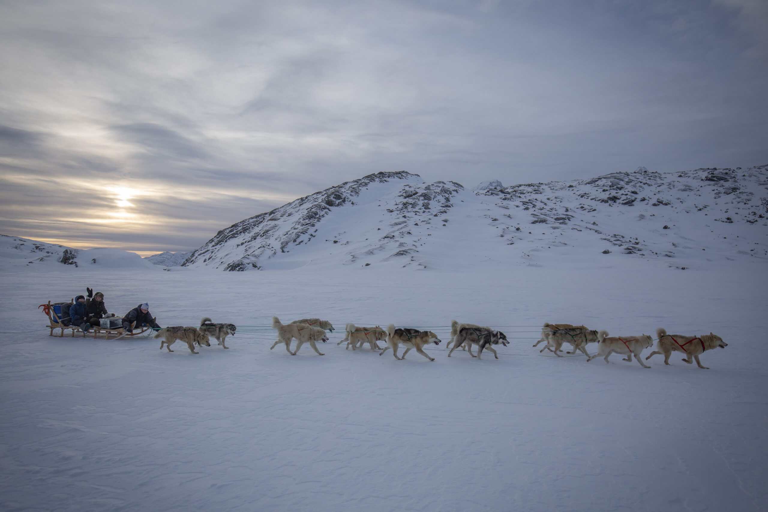 Tasiilaq Tours out dog sledding in the backcountry of the Ammassalik Island with 12 dogs.