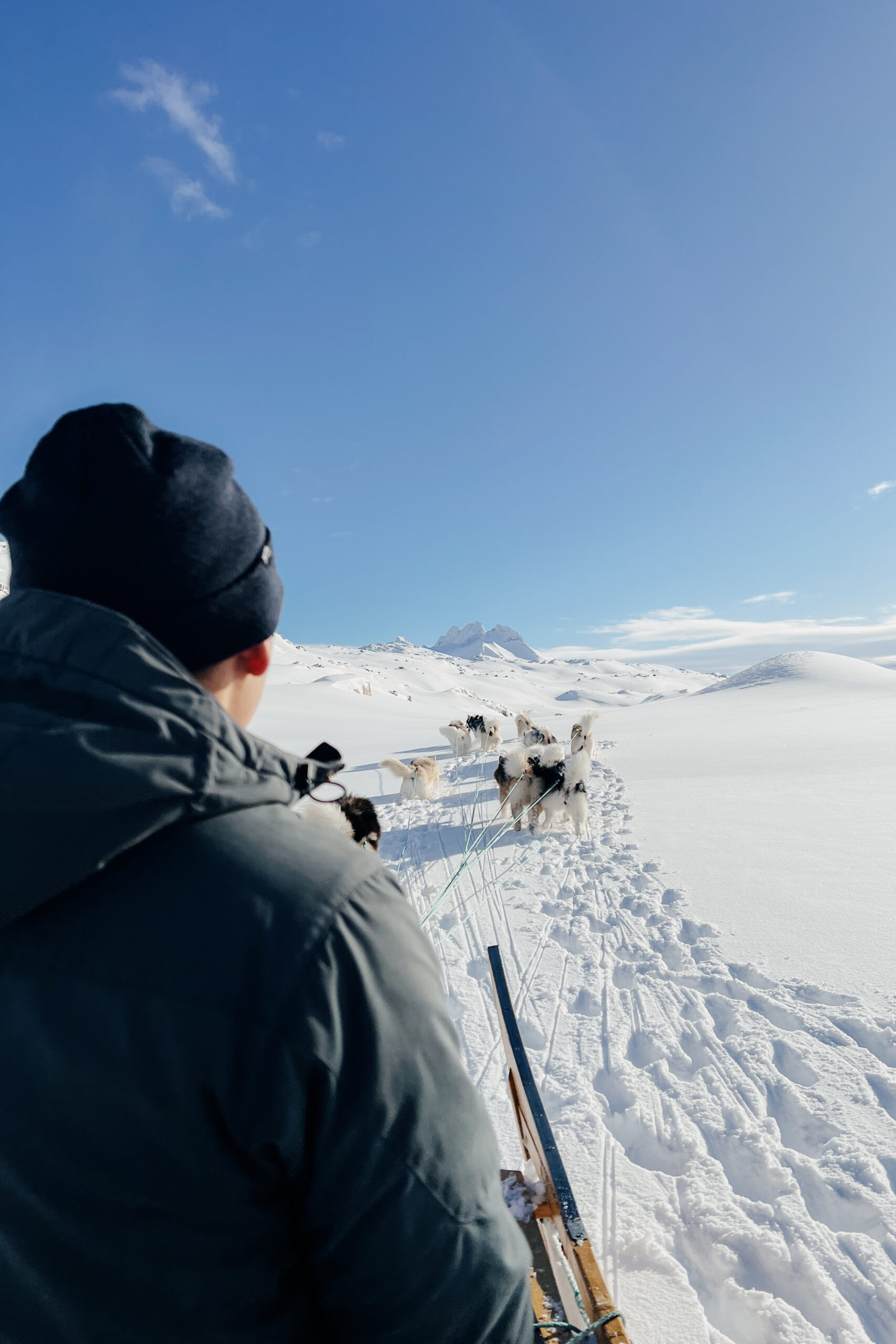 Dog sledding on the track to kaffebaren on Ammassalik Island.