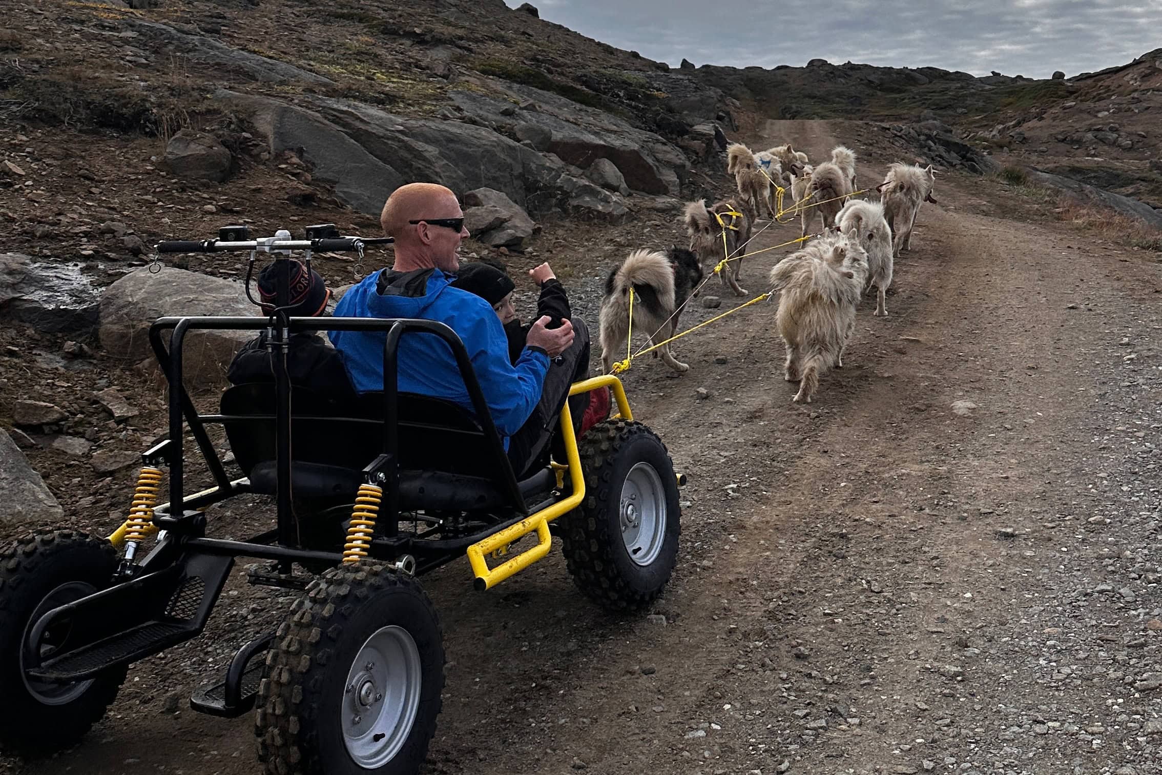 Tourist trying out summer dogsledding experience