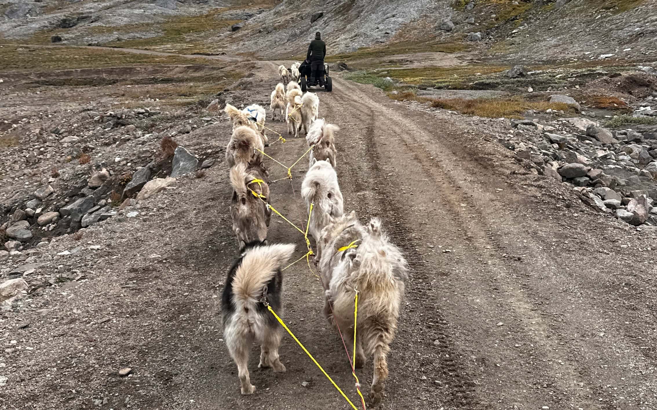 Two summer dogsledding carts on the gravel road outside Tasiilaq